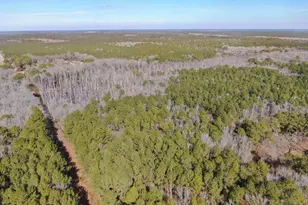 Lot 2 Sand Road, Snow Hill, MD 21863 - Photo 5