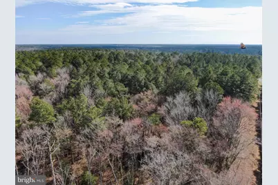 Lot 4 Sand Road, Snow Hill, MD 21863 - Photo 5
