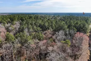 Lot 4 Sand Road, Snow Hill, MD 21863 - Photo 5