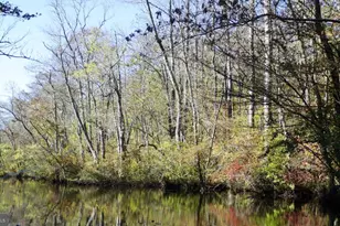 0 Meadow Bridge Rd, Snow Hill, MD 21863 - Photo 1
