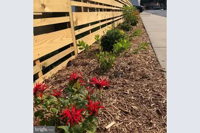 21 Jefferson Street, Berlin, MD 21811 - Photo 7