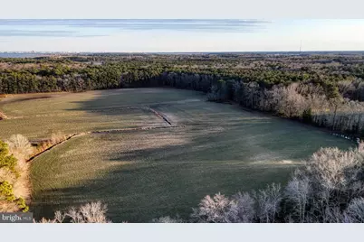 Lot 1 Muskrattown Road, Bishopville, MD 21813 - Photo 33