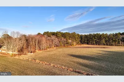 Lot 1 Muskrattown Road, Bishopville, MD 21813 - Photo 91