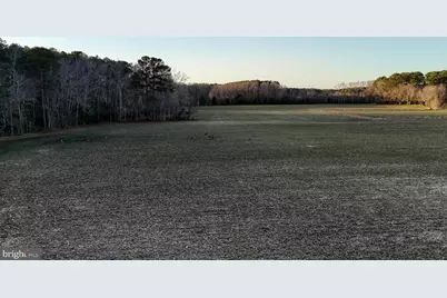 Lot 1 Muskrattown Road, Bishopville, MD 21813 - Photo 97