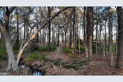 Lot 1 Muskrattown Road, Bishopville, MD 21813 - Photo 87