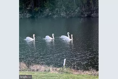 12205 E Cannonball Drive, Berlin, MD 21811 - Photo 67