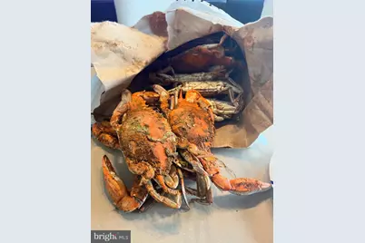 12623 Shell Mill Rd #56, Bishopville, MD 21813 - Photo 65