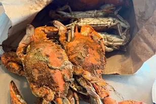 12623 Shell Mill Rd, Bishopville, MD 21813 - Photo 65