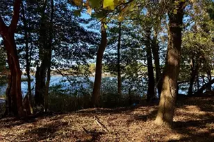 11429 Maid at Arms Ln, Berlin, MD 21811 - Photo 25