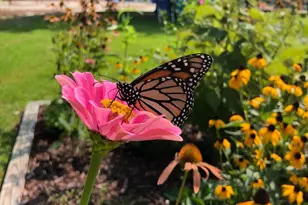 12407 Pegleg Way, Berlin, MD 21811 - Photo 63