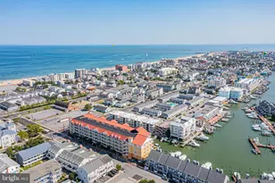 301 14th St, Ocean City, MD 21842 - Photo 39