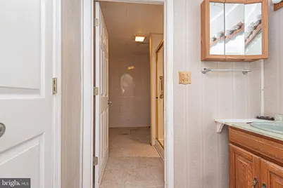 17 & 19 Burley Street, Berlin, MD 21811 - Photo 39