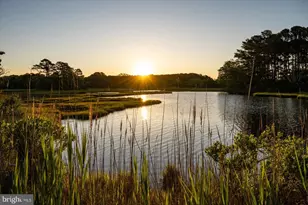 11602 S Hills Dr, Berlin, MD 21811 - Photo 121