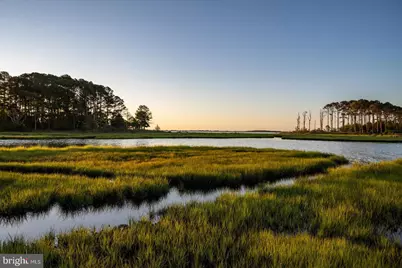 11602 S Hills Drive, Berlin, MD 21811 - Photo 119