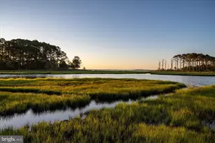 11602 S Hills Dr, Berlin, MD 21811 - Photo 119