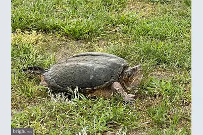 8374 S Longboat Way, Berlin, MD 21811 - Photo 89