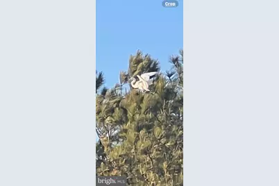 8374 S Longboat Way, Berlin, MD 21811 - Photo 85