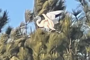 8374 S Longboat Way, Berlin, MD 21811 - Photo 85