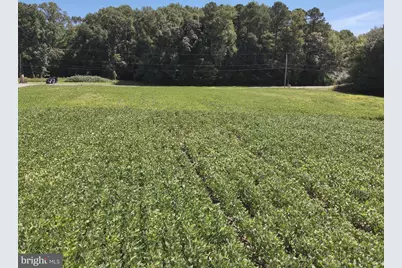 Rt 12, Snow Hill, MD 21863 - Photo 25
