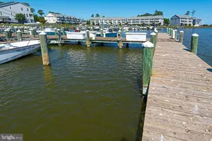 11857 Man O War Ln, Berlin, MD 21811 - Photo 95