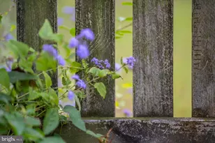 203 W Market St, Snow Hill, MD 21863 - Photo 117