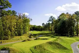 10135 Fast Colors Ln, Berlin, MD 21811 - Photo 61