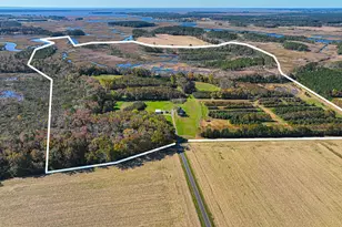 163 Hall Rd, Pocomoke City, MD 21851 - Photo 3