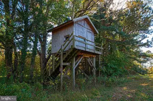 163 Hall Rd, Pocomoke City, MD 21851 - Photo 81