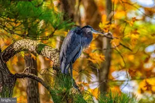 101 Mumfords Lndg Rd, Ocean Pines, MD 21811 - Photo 105