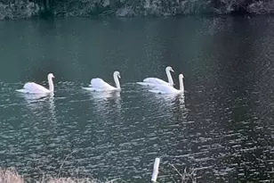 11911 W Yardarm Dr, Berlin, MD 21811 - Photo 91