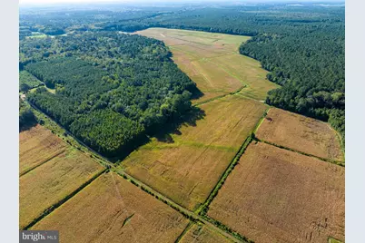 0 Greenbriar Swamp Road, Salisbury, MD 21804 - Photo 17