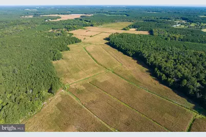 0 Greenbriar Swamp Road, Salisbury, MD 21804 - Photo 13