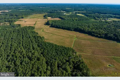 0 Greenbriar Swamp Road, Salisbury, MD 21804 - Photo 15