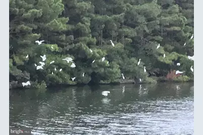 12020 Assateague Way, Berlin, MD 21811 - Photo 101