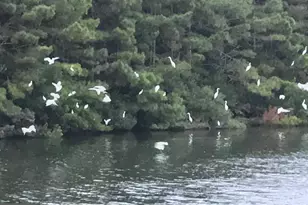 12020 Assateague Way, Berlin, MD 21811 - Photo 101