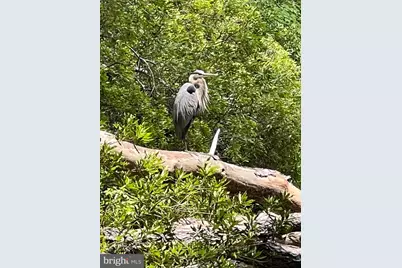 12020 Assateague Way, Berlin, MD 21811 - Photo 103