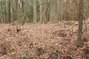 11530 Country Club Dr, Berlin, MD 21811 - Photo 53