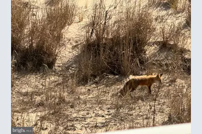 12305 Wight Street #102, Ocean City, MD 21842 - Photo 3