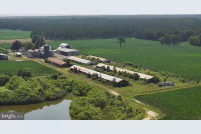 641 Critcher Road, Pocomoke City, MD 21851 - Photo 9