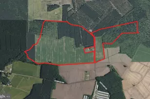 535 Critcher Rd, Pocomoke City, MD 21851 - Photo 1