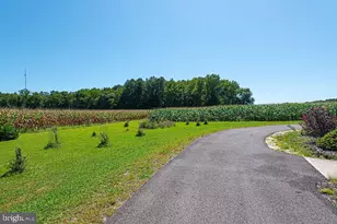 11910 Back Creek Rd, Bishopville, MD 21813 - Photo 61