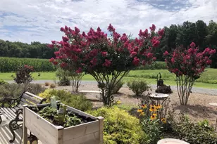 11910 Back Creek Rd, Bishopville, MD 21813 - Photo 71