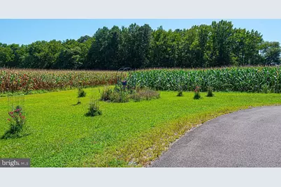 11910 Back Creek Road, Bishopville, MD 21813 - Photo 93