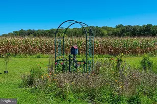 11910 Back Creek Rd, Bishopville, MD 21813 - Photo 77