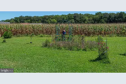 11910 Back Creek Road, Bishopville, MD 21813 - Photo 97