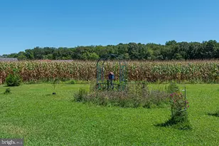 11910 Back Creek Rd, Bishopville, MD 21813 - Photo 97