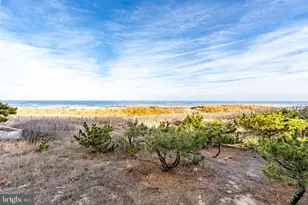 10 81st St, Ocean City, MD 21842 - Photo 41