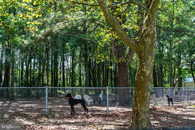 6 Heron Isle Court, Ocean Pines, MD 21811 - Photo 77