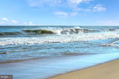 11000 Coastal Highway #1607, Ocean City, MD 21842 - Photo 51