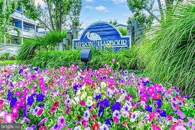 201 S Heron Drive #26B28, Ocean City, MD 21842 - Photo 85